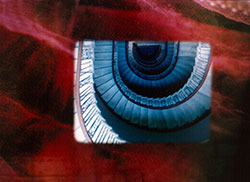 Other Stills