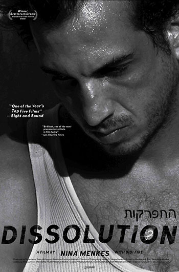 Dissolution Poster - Large